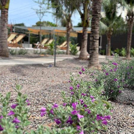 Wanderlust Garden Inn Mui Ne Esterno foto