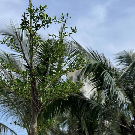 Wanderlust Garden Inn Mui Ne Esterno foto