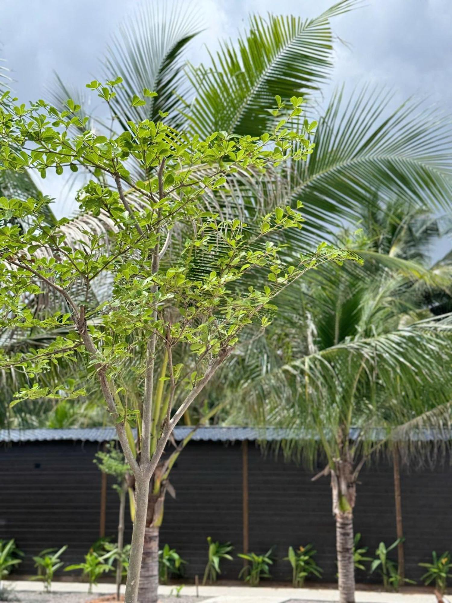 Wanderlust Garden Inn Mui Ne Esterno foto